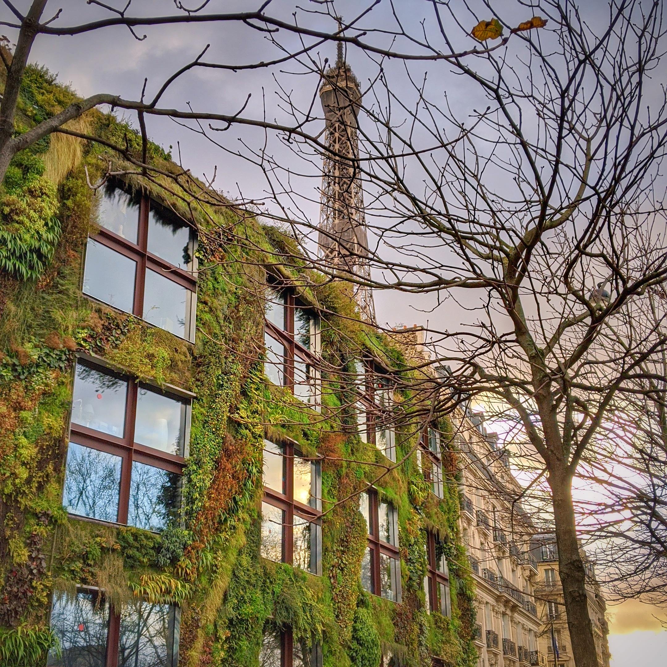 Visitez le musée du Quai Branly - Jacques Chirac