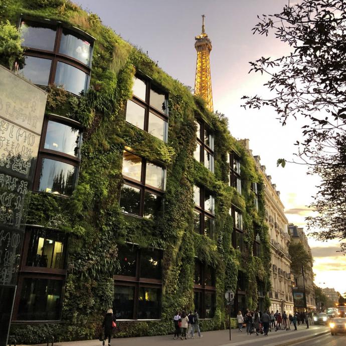 Visitez le musée du Quai Branly - Jacques Chirac