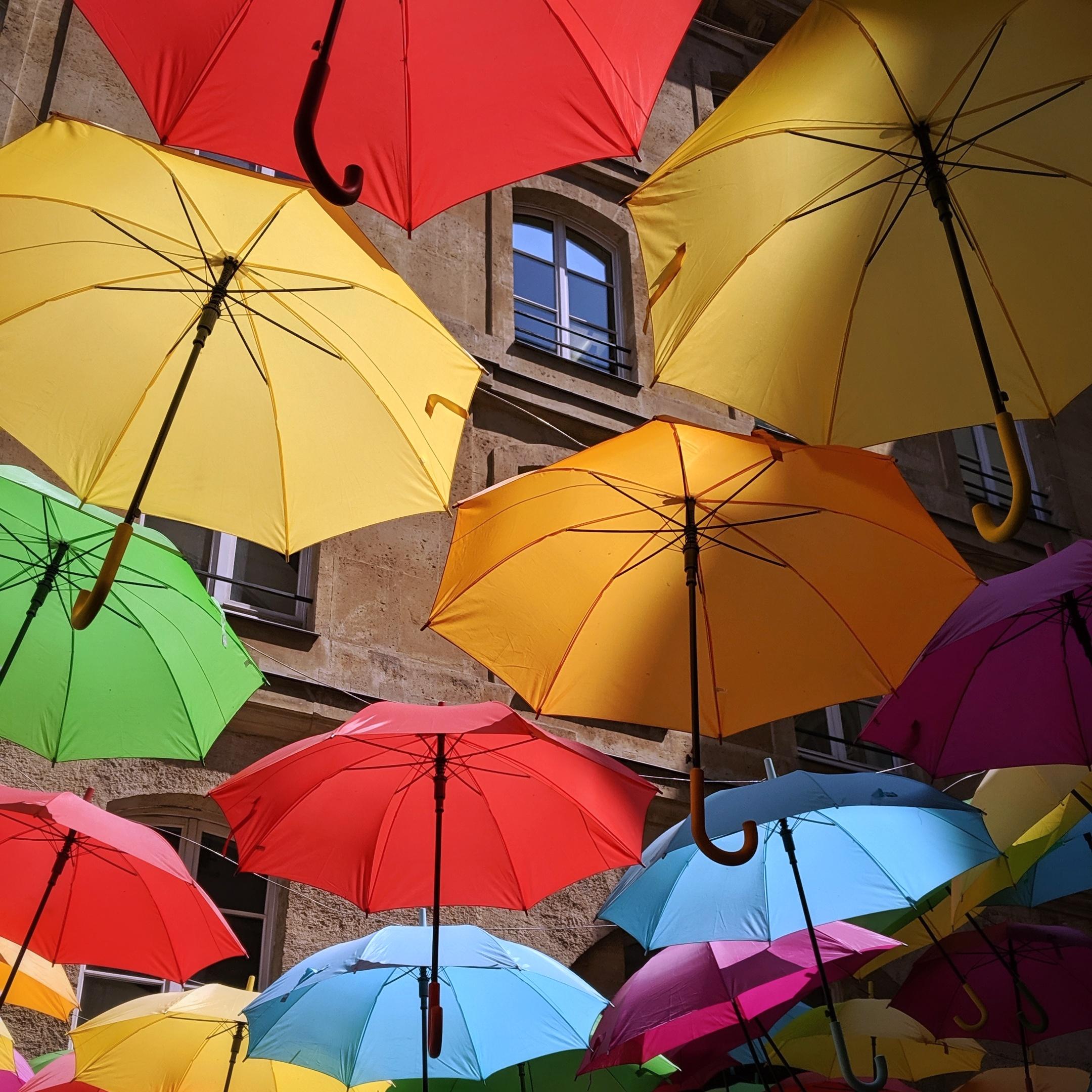 Paris in the Rain: The Art of Elegant Evasion